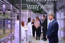 Презентация "Кластера Вавилов"