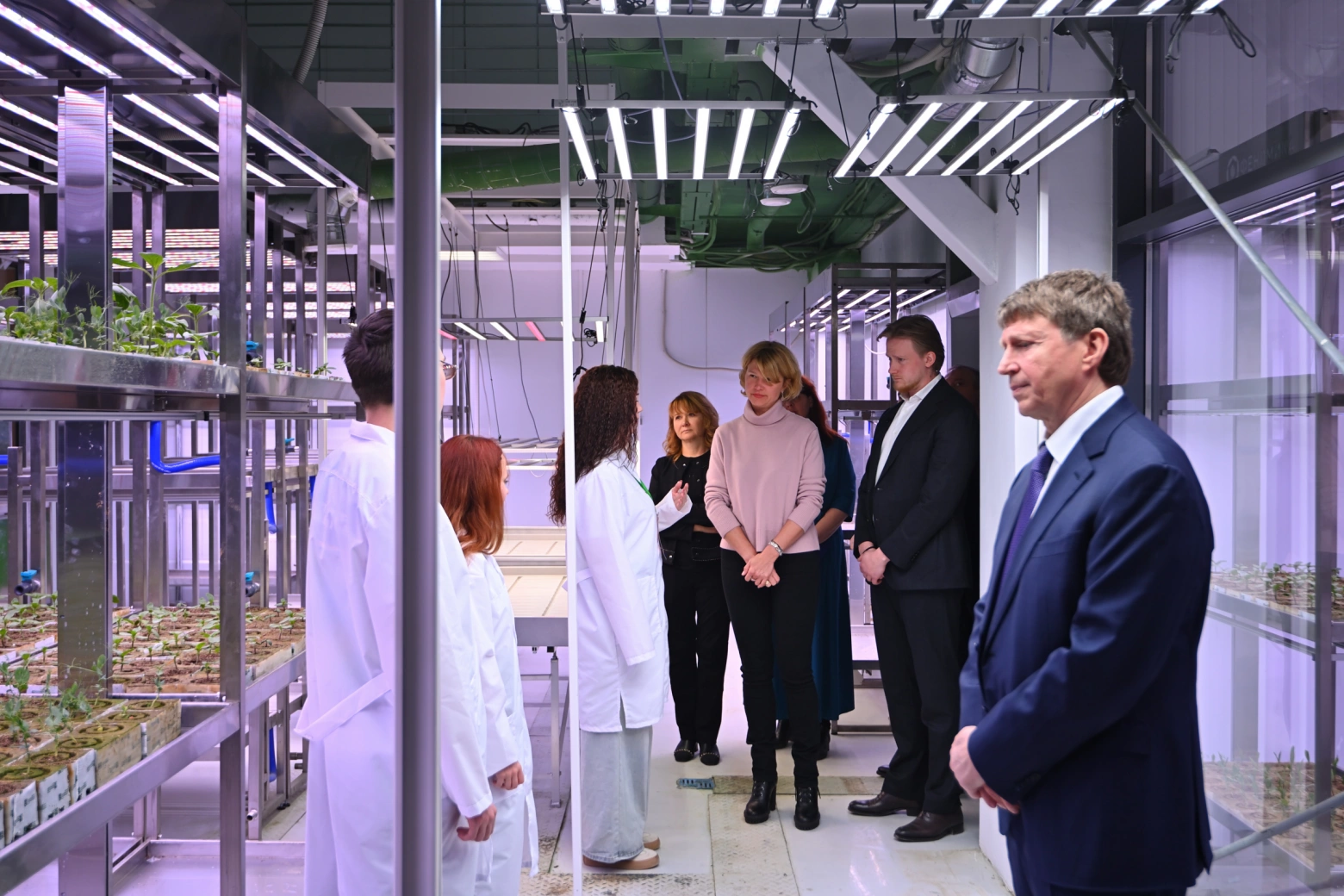 Презентация "Кластера Вавилов"