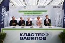Презентация "Кластера Вавилов"