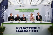 Презентация "Кластера Вавилов"
