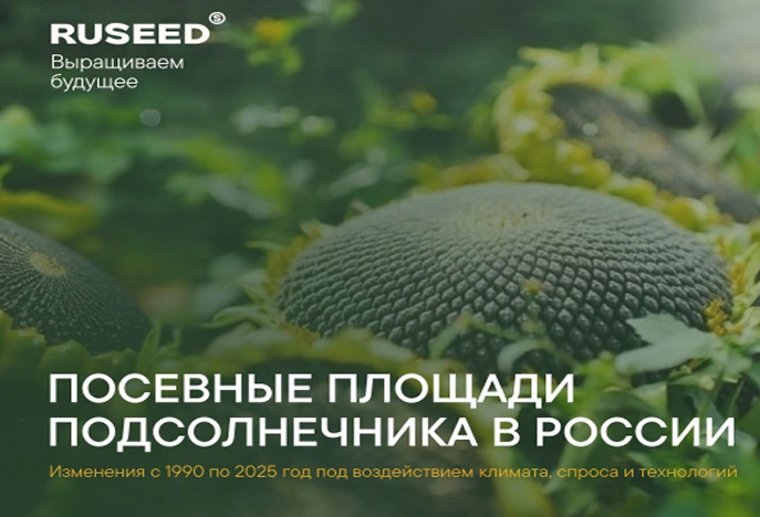 Климатические вызовы: расширение посевных площадей под масличными культурами в Сибирь и на Урал демонстрирует трансформацию природно-климатических условий в России